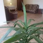 Doba - центр 2 ком 7-8місць завжди тепла ! Apartment *